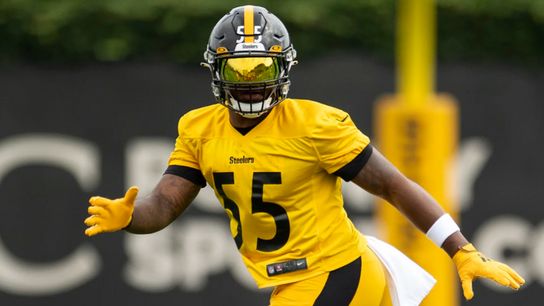Bush, Haden added to Steelers' injury report taken on the South Side (Steelers)
